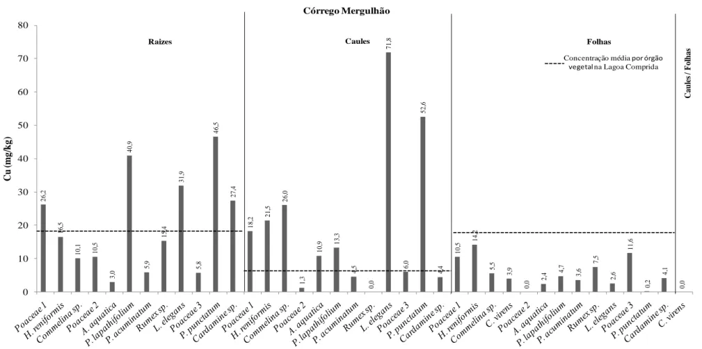 Figura 5.13 - Concentrações de Cu por órgão vegetal (raízes, caules e folhas) encontradas  no Córrego Mergulhão26,216,510,110,53,040,95,915,431,95,846,527,418,221,526,01,310,913,34,50,071,86,052,64,410,514,25,53,90,02,44,73,67,52,611,6 0,2 4,1 0,0010203040