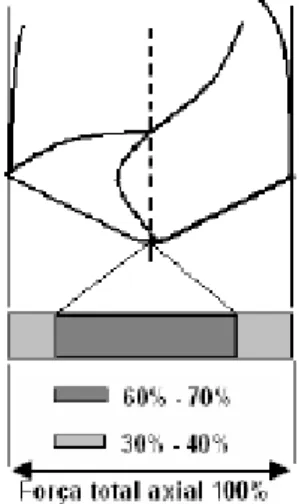 Figura 3.6 - Força axial da broca. 