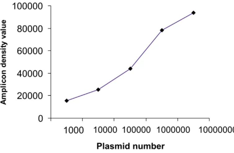 Fig. 1 - Graphic of density values of amplicon bands obtained from 800, 8 000, 80 000, 800 000, 8 000 000 gB CMV plasmids in the semi-quantitative PCR.