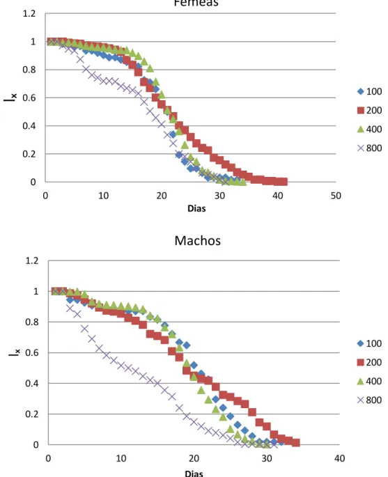 Figura 2: Curvas de sobrevivência (lₓ em função do tempo) para fêmeas e para machos para  cada densidade