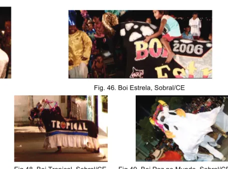 Fig. 45. Boi Caiçara, Sobral/CE                                                          Fig