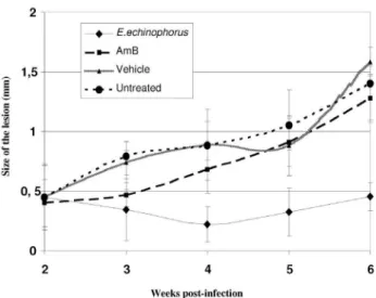 Table 1 shows the in vitro activity of the extract of E. echinophorus  against L. amazonensis