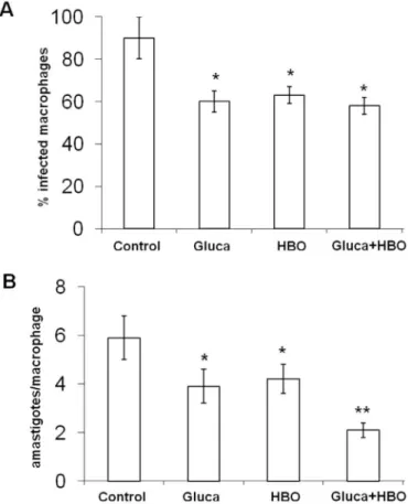 Fig. 1 - Effect of HBO and glucantime on macrophages infected with L. amazonensis. The  mouse peritoneal macrophages were infected with amastigotes and cultured for 24 h (Control),  treated with glucantime (6 µg Sb +5 /mL) for 24 h (Gluca), exposed to HBO 
