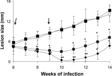 Fig. 3 - . Effect of propain and glucantime on lesion development in BALB/c mice infected  with L