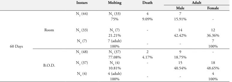 Table 2. Dynamics of the molting of nymphal instars (N1-3) and male/female ratio of Argas (Persicargas) miniatus kept in room conditions  and in an B.O.D