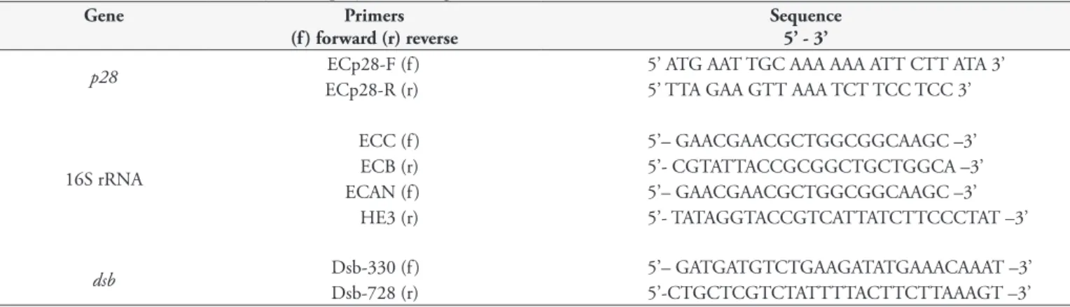 Table 1. Primers used in PCR assays to amplify Ehrlichia genes.