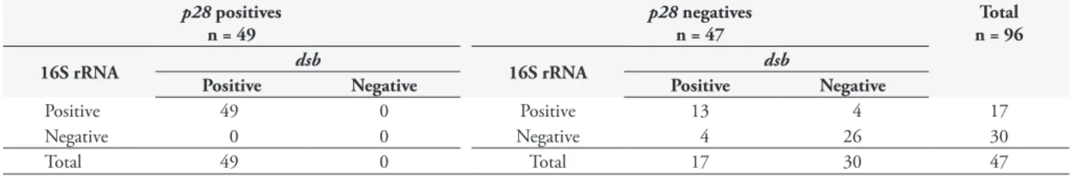 Table 2. Comparison between results obtained by p28-based PCR, nested PCR for the amplification of 16S rRNA gene, and PCR for the  detection of dsb gene in 96 canine DNA samples.