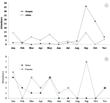 Figure 2. Monthly distribution of Amblyomma cajennense in Curió  Municipal Nature Park in Paracambi, RJ, Brazil