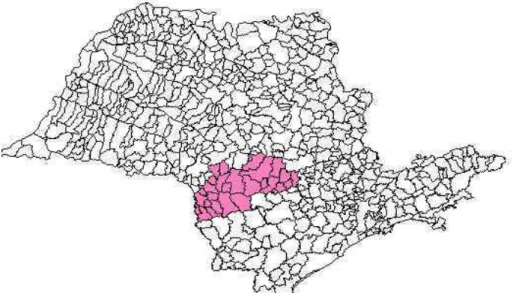 Figura 1 - Localização no Estado de São Paulo dos municípios abrangidos pela                    Direção Regional de Saúde de Botucatu – DIR XI 