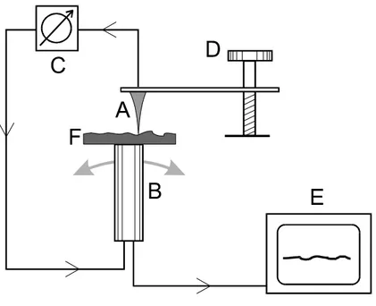 Figura 1-1 – Desenho esquemático dos componentes comuns a todos  microscópios de varredura por sonda mecânica