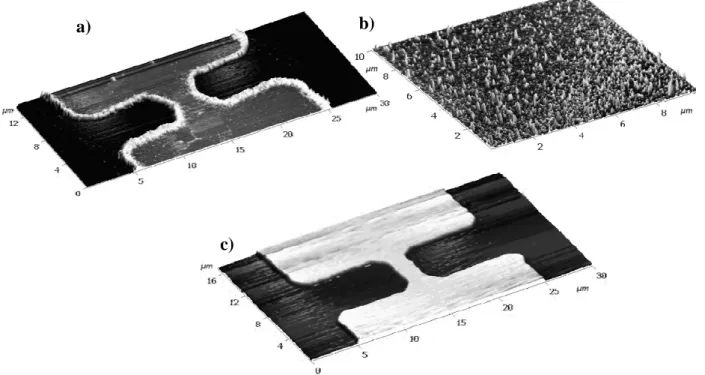 Figura 2-3 Imagens de AFM do processo de fotolitografia. a) Detalhe  do filme metálico; com contraste representando uma escala de altura   Z  = 10 nm