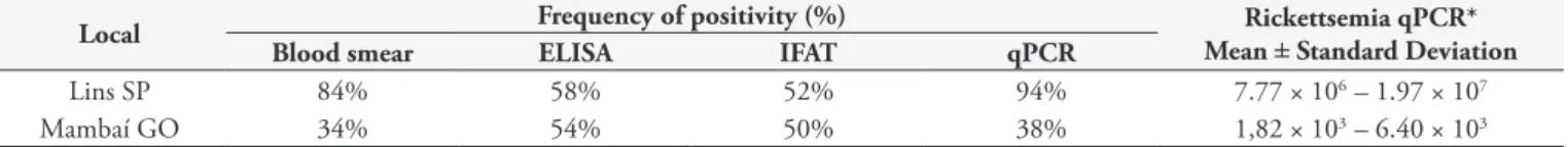 Table 1. Frequency (%) of animals positive for Anaplasma marginale. Anaplasma marginale was detected by direct examination (blood smears),  serological tests (ELISA/IFAT) and molecular analysis (qPCR) of samples from naturally infected dairy cattle in São 
