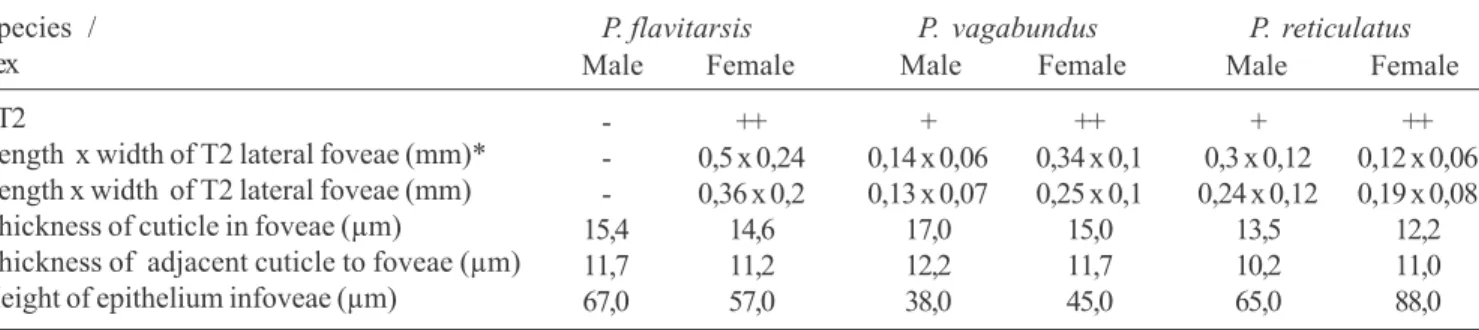 Table I. Dimensions of structures related to lateral foveae of the T2 (FT2) among three species of Panurgillus