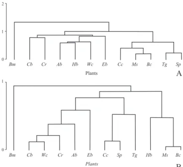 Fig. 4. Similarity dendograms among plant species predominantly visited by in relation to the morph-functional categories of Apoidea in Abaeté dunes, Salvador, Bahia, between January and December, 1996