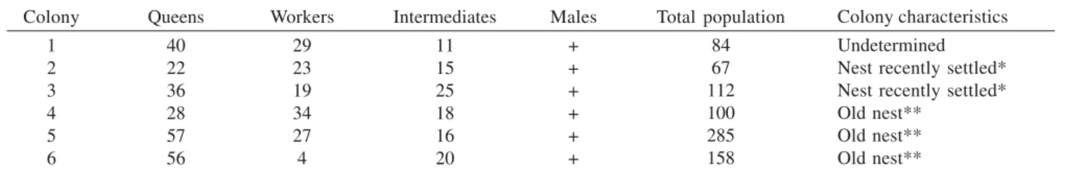 Table I. Number of females found in analyzed the colonies of Protopolybia chartergoides.