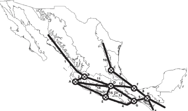 Fig. 1. Generalized tracks and nodes obtained from the biogeographic analysis of 221 species belonging to 68 genera of Mexican Cerambycidae.
