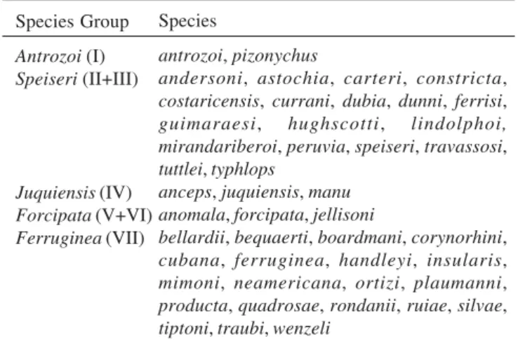 Table I. Morphological groups of the American Basilia by Theodor (1967) and Guerrero (1996)