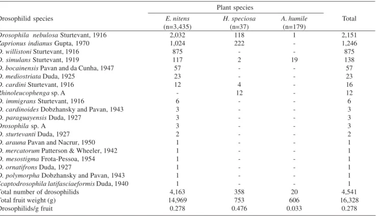 Table I. Drosophilids emerged in laboratory from fallen fruits of Emmotum nitens,  Hancornia speciosa and Anacardium humile collected from October 2005 to February 2006 in the municipality of Sobradinho, Distrito Federal, Brazil