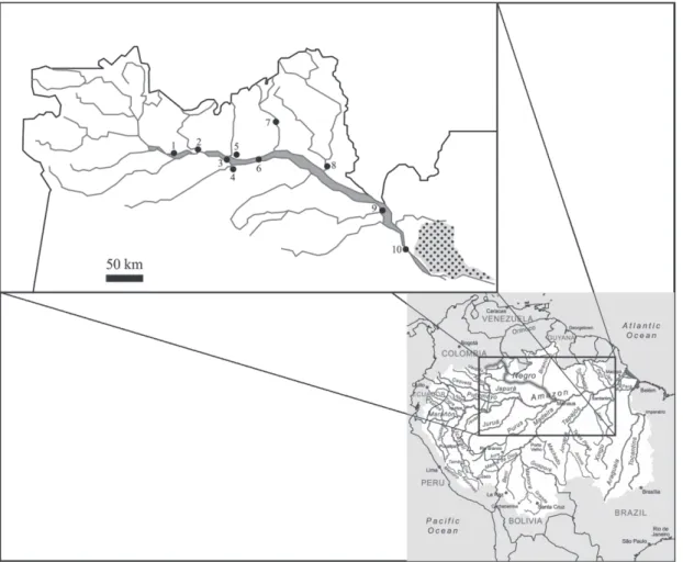 Fig. 1. Schematic map of sample sites along the Rio Negro channel, Amazonas – Brazil. Black dots correspond to sample sites (1