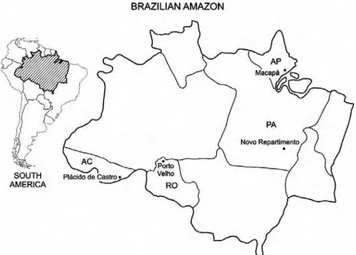 Figure 1. Study area for the Plasmodium vivax in the Amazon region of Brazil, Macapá, Amapá  State (AP; 00º02’20’’S; 51º03’59’’W); Novo Repartimento, Pará State (PA; 04º19’50’’S;  49º47’47’’W); Porto Velho, Rondônia State (RO; 08º45’43’’S; 63º54’14’’W) and