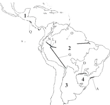 Fig. 6. Thecomyia generalized tracks (A–Q) and previously established phylogenetic analysis for the species in the genus – R (modified from Marinoni et al
