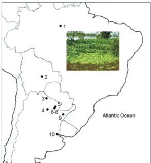 Fig. 25. Map of species distribution and collecting site. 1. Brazil, Amazonas, Iranduba, Ilha da Marchantaria; 2, Bolivia, Santa Cruz; 3-10, Argentina: 3, Formosa; 4-8, Chaco; 9, Corrientes; 10, Buenos Aires.