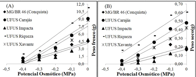 Figura 2. Massa fresca (A) e massa seca (B) de plântulas de soja das cinco cultivares (MG/BR 46 Conquista,  UFUS  Carajás,  UFUS  Impacta,  UFUS  Riqueza  e  UFUS  Xavante)  submetidas  aos  cinco  níveis  de  potenciais osmóticos (0; -0,1; -0,2; -0,3; e -