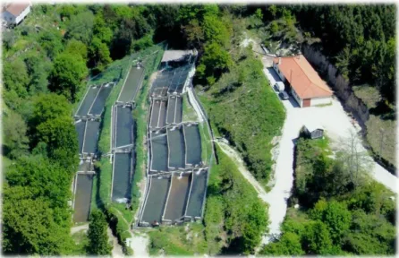 Figura 7. Vista aérea da Truticultura do Paivó, Castro Daire