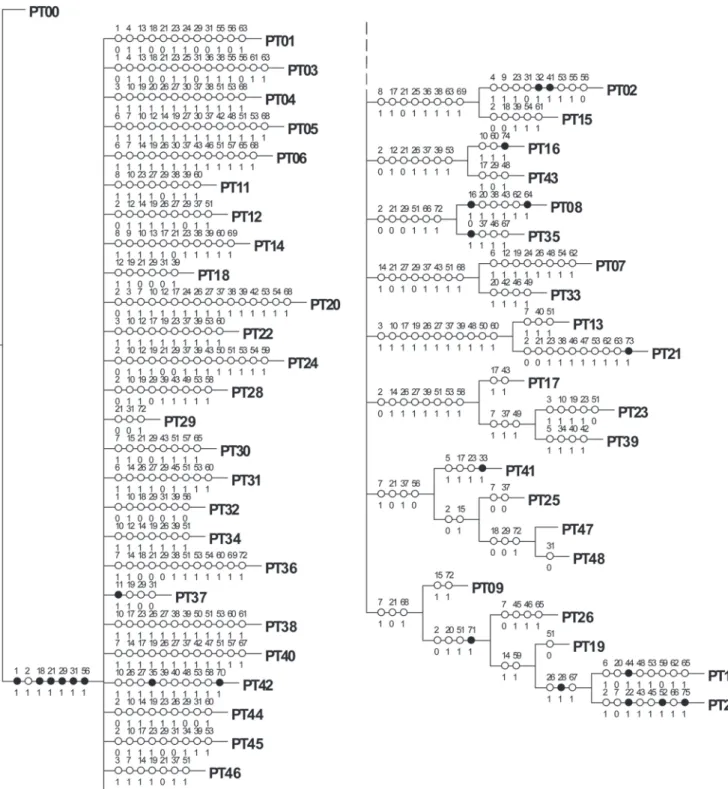Fig. 5. Strict consensus cladogram (fast optimization) resulting from PAE by collection points