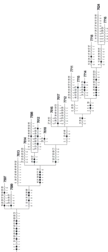 Fig. 7. Strict consensus cladogram (fast optimization) resulting from PAE by ottobasins