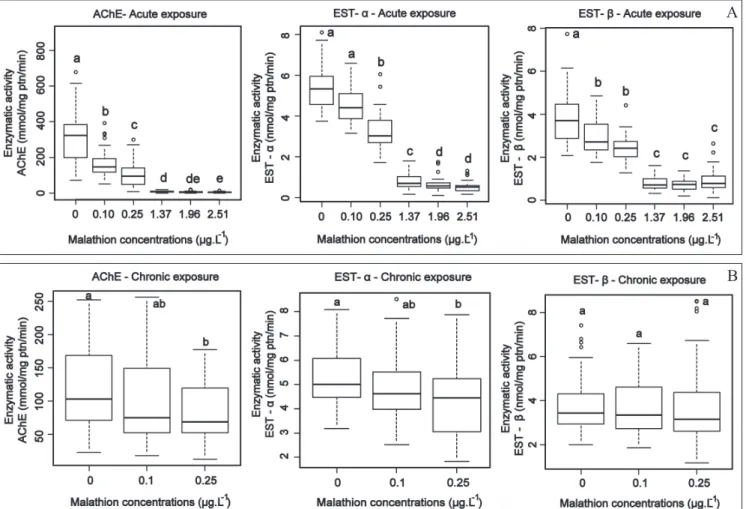 Fig. 1. Concentrations of the insecticide malathion compared with a control through enzymatic activity of the enzymes acetylcholinesterase (AChE);