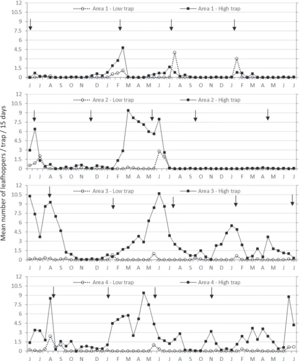 Fig. 2. Populational fluctuation of adults of Homalodisca spottii collected by yellow sticky traps placed at 45 cm aboveground (low trap – open circles), and 45 cm above the crop canopy (high trap – filled circles) in four vineyards of Vitis vinifera in Pe