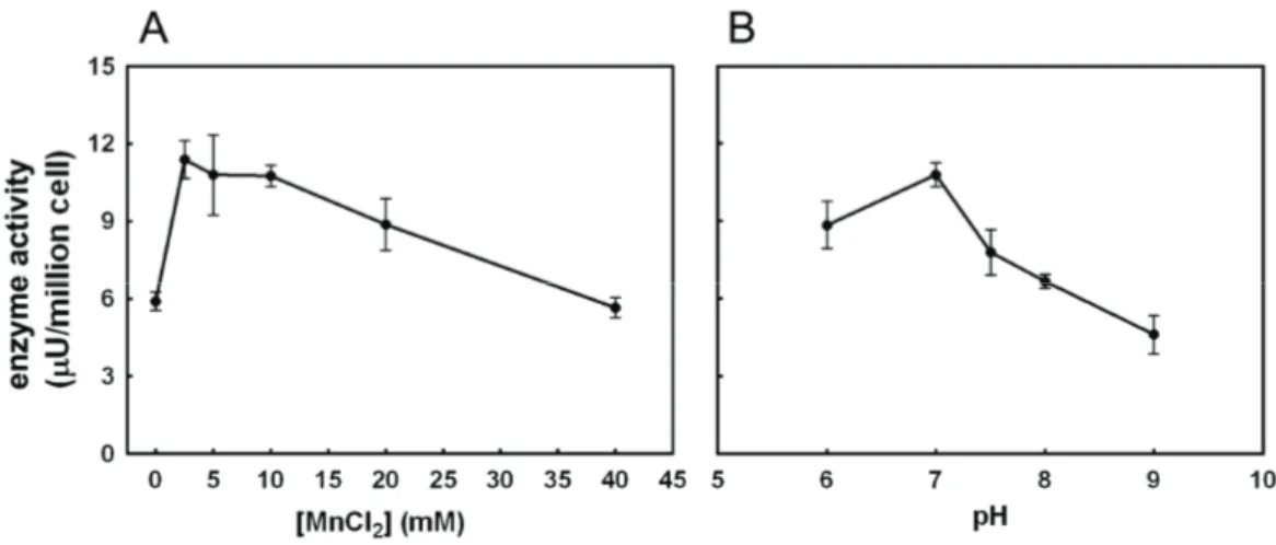 Figure 9: Effect of Mn 2+  (A) and pH (B) on FUT9wt activity. Galβ4GlcNAc-R,  where     R = O-(CH 2 ) 3 NHCO(CH 2 ) 5 -NH-biotin, was used as acceptor substrate