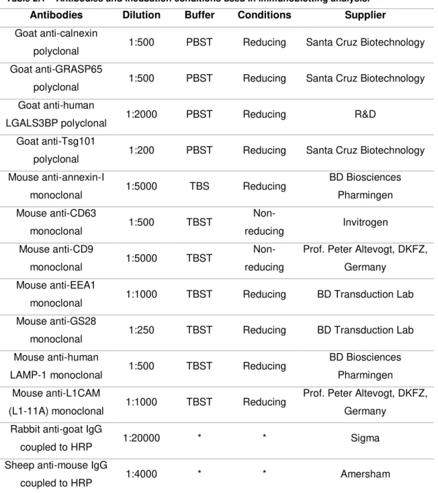 Table 2.1  –  Antibodies and incubation conditions used in immunoblotting analysis. 