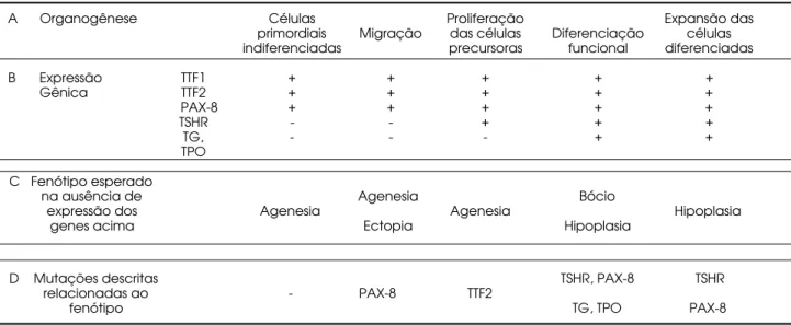 Tabela 1. Desenvolvimento da Glândula Tireóide, genes expressos e correlação fenótipo com genótipo mutado.