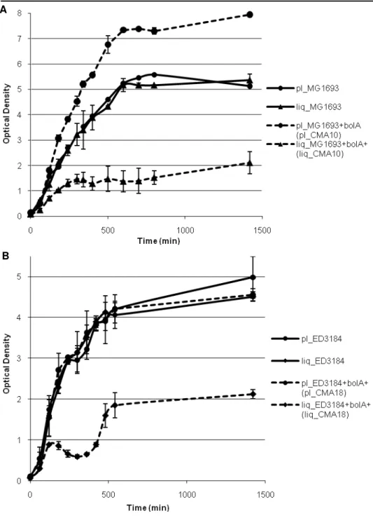 Figure  1. Optical  density  measurements  at 620  nm  for  determination  of  growth  curves  in  LB  media  supplemented according to the strains, at 120  r.p.m., 37 ºC – average and standard deviations from a  minimum  of  three  independent  repetition