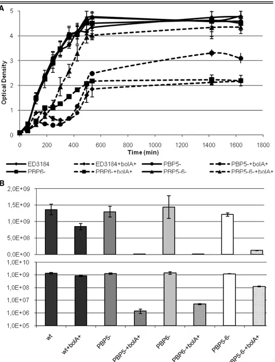 Figure  3.  Growth  and  viability  analysis  for  evaluation  of  the  role  of  BolA  on  PBP  mutant  strains– 