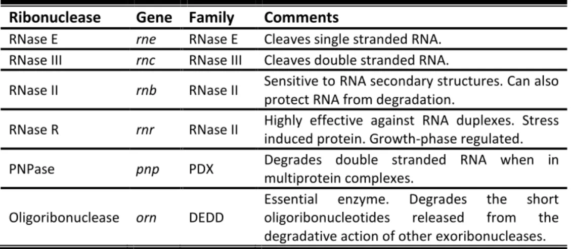 Table 1. Ribonuclease involved in RNA degradation in E. coli  Ribonuclease  Gene  Family  Comments 