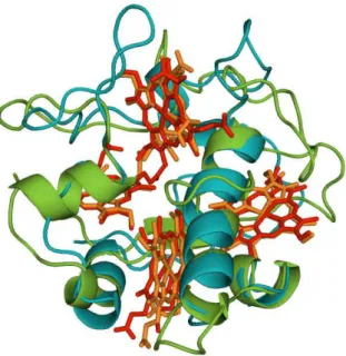 Figure 1.7  Superimposed 3-dimensional structures of TpIc 3   (green, red haems, pdb: 2BQ4  (Pieulle et al
