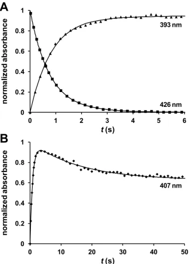 Figure 2.5 Time-course traces at 393 and 426 nm (A) and 407 nm (B) for the reaction of 3  μM cyt c” with 300 μM NO (100 mM phosphate buffer pH 7.0, T = 25 °C)
