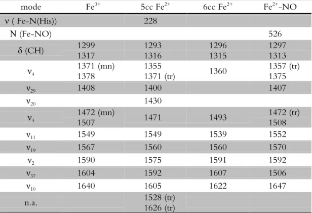 Table 2.3  Vibrational modes (stretching, ν i , and bending, δ,  cm -1 ) of cyt c” in the ferric  (Fe 3+ ),  native  ferrous  five-coordinated  (5cc  Fe 2+ ), urea treated ferrous six-coordinated  (6cc Fe 2+ ), and ferrous NO bound state (Fe 2+ -NO) in the