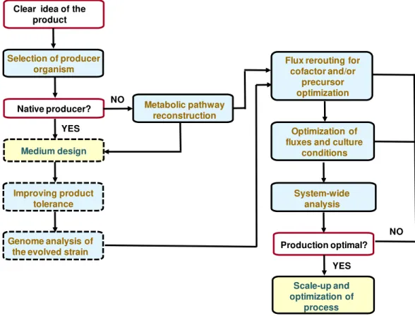 Figure 1.1. A scheme of a metabolic engineering process and approaches which  are typically undertaken, not necessarily in the order shown