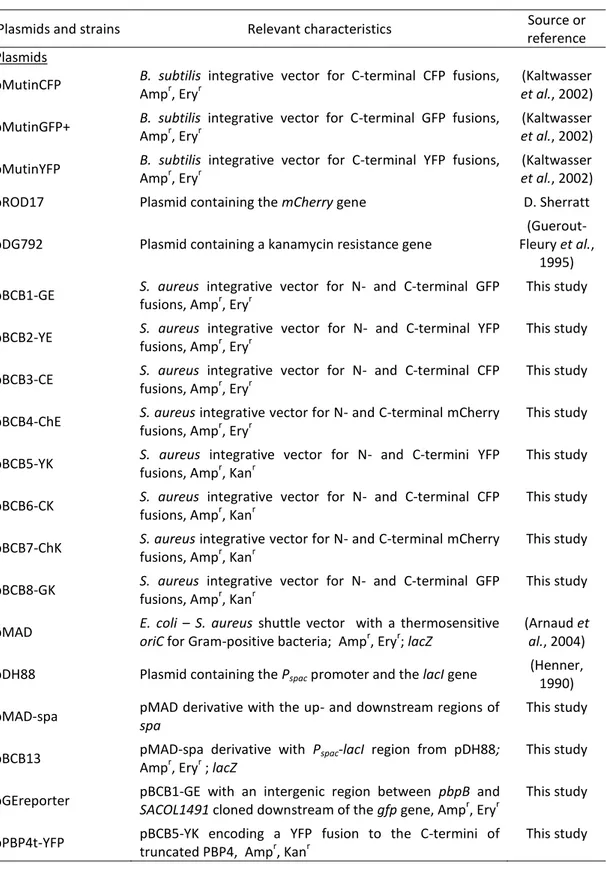 Table 3.1. Plasmids and strains used in this study