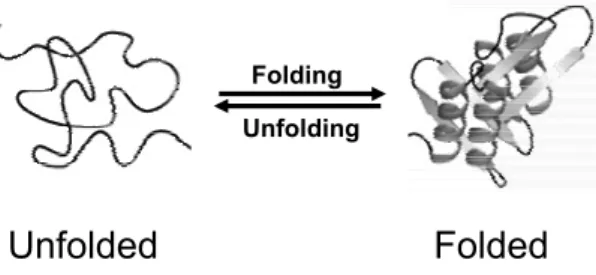 Figure 1.5: Schematic representation of a folding-unfolding reaction. The reaction  represents a two-state process without the formation of intermediates