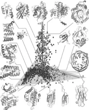 Figure 1.1 – Three-dimensional  representation of the protein  conformational space.  Each sphere  represents  a  protein  fold  family  among  compact  globular  proteins