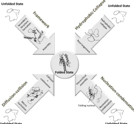 Figure 1.5 - Protein folding models. 