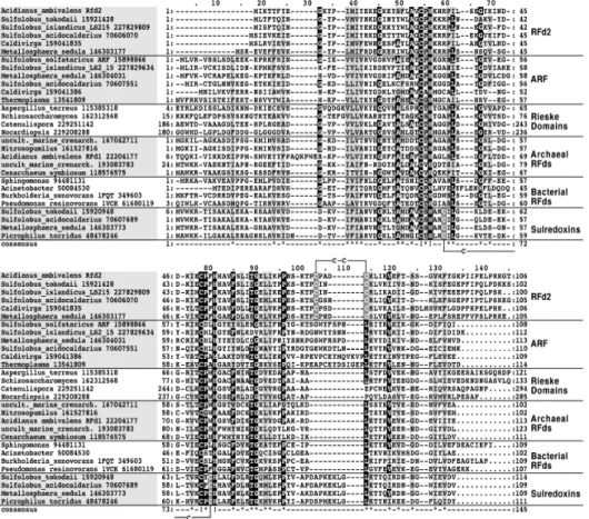 Figure 3.2 - Multiple sequence alignment of Rieske ferredoxins and ferredoxin domains