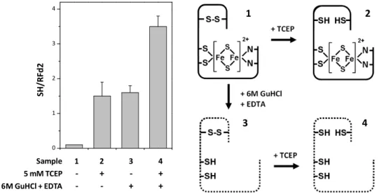 Figure 3.6 - Thiol quantitation and schematic representation of the different tested  conditions
