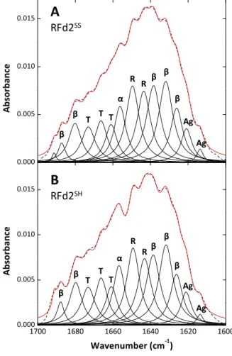 Figure 3.8 - ATR FT-IR analysis of the Rieske ferredoxin secondary structure.  Self deconvoluted spectra of  Rieske  (black  dashes)  in  40  mM Tris  pH  7  plus  0  mM  TCEP  (A)  or  5 mM TCEP (B)