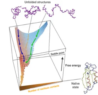 Figure 1.1  |  Schematic energy landscape for protein folding.  
